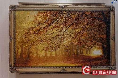 DSC01774